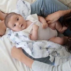 Budget 🧨 Aden + anais Mullwindel 3er Pack Classic Musy 70 x 70 cm - Rising Star 💯 -Baby Changing Sales aden anais mullwindel mulltuch pucktuch 3er pack classic musy 70 x 70 cm rising star amsc30006 d5