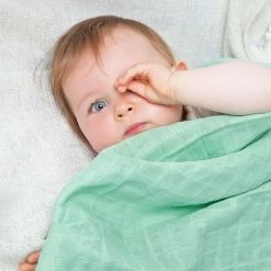 Discount ✔️ Grünspecht Mullwindel 70 x 70 cm - Grün ❤️ 10 Discount ✔️ Grünspecht Mullwindel 70 x 70 cm - Grün ❤️ -Baby Changing Sales grunspecht mullwindel 3er pack 70 x 70 cm grun 1500 v4 d2